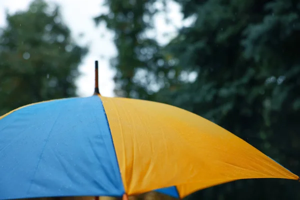 Жовта Синя Парасолька Відкритому Повітрі Дощовий День Крупним Планом — стокове фото