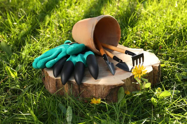户外草丛中木制树桩上的手套和带有园艺工具的盆栽组合 — 图库照片