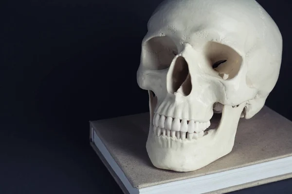 인간의 두개골 클로즈업 원문을 — 스톡 사진