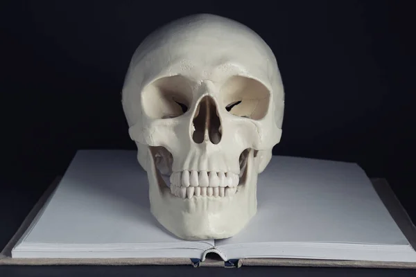 Crânio Humano Branco Com Livro Sobre Fundo Preto — Fotografia de Stock