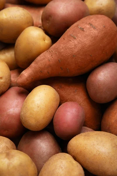 Different Types Fresh Potatoes Background Closeup View — Stock Photo, Image