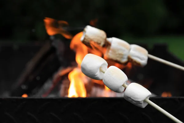 Delicious Puffy Marshmallows Roasting Bonfire Closeup Space Text — Stock Photo, Image