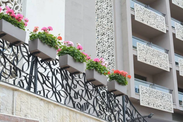 Exterior Building Balconies Decorated Beautiful Flowers Low Angle View — Stock Photo, Image