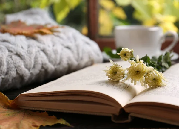Book with flowers, soft sweater and dry leaves on wooden windowsill, closeup. Autumn atmosphere