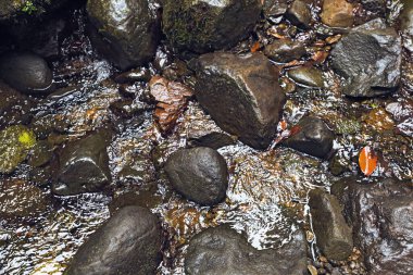 Parktaki güzel dere ve taşlar, manzaranın üstünde.