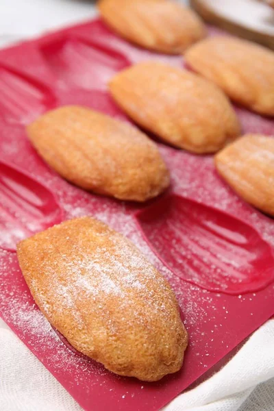 Delicious Madeleine Cookies Baking Mold Closeup — Stock Photo, Image