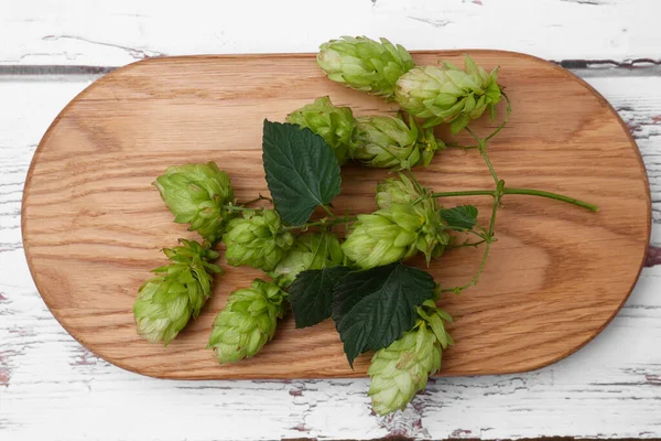 Board Branch Fresh Hops White Wooden Table Top View — Stock Photo, Image