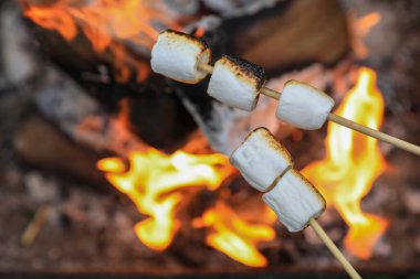 Delicious puffy marshmallows roasting over bonfire, closeup. Space for text clipart