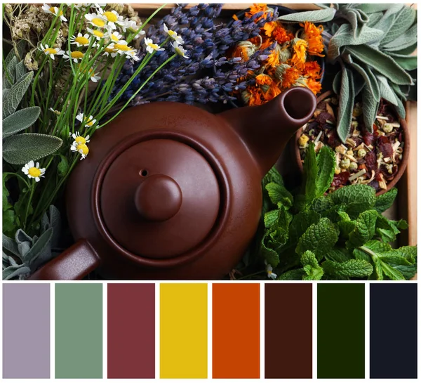 Bovenaanzicht Van Theepot Omgeven Door Verschillende Kruiden Kleurenpalet Collage — Stockfoto