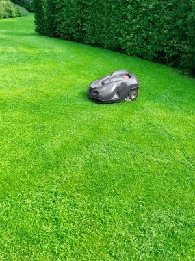 Modern robot lawn mower on green grass in garden