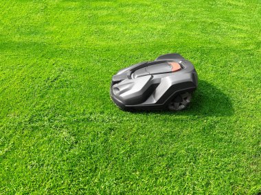 Modern robot lawn mower on green grass in garden