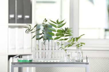 Laboratuvardaki metal masada sıvı ve bitkilerle test tüpleri.