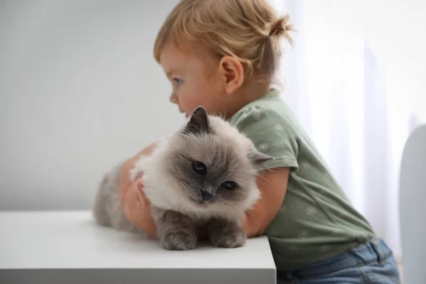 Mignon Petit Enfant Avec Adorable Animal Compagnie Table Blanche Dans — Photo