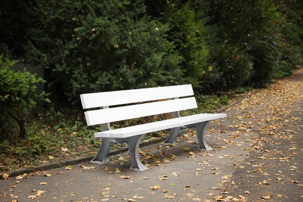 公園内の白い木製のベンチと緑の植物 — ストック写真