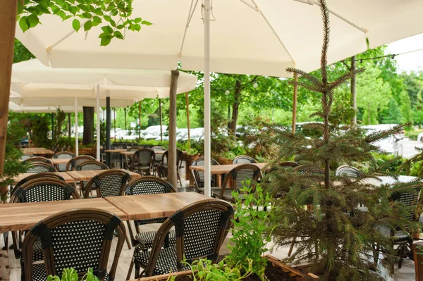 Beau Café Avec Des Meubles Élégants Des Plantes Plein Air — Photo