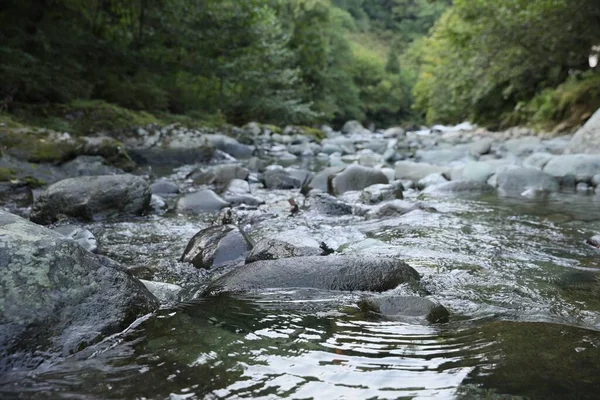 小さな川や石の美しい景色屋外 — ストック写真
