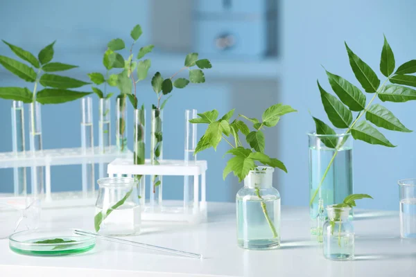 Laboratóriumi Üvegáru Növényekkel Fehér Asztalon — Stock Fotó