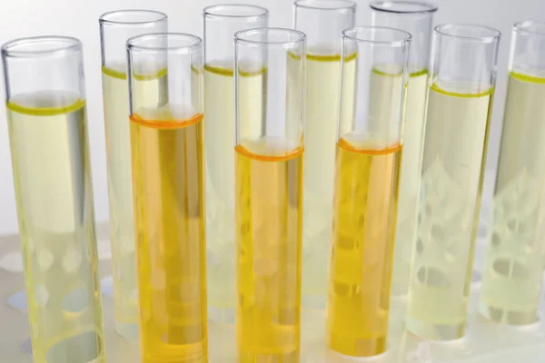 Tubes Urine Samples Analysis Light Grey Background Closeup — Stock Photo, Image