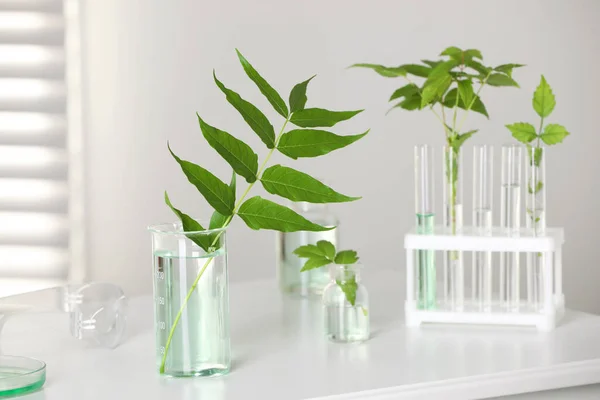 Glaswerk Voor Laboratoria Met Planten Witte Tafel — Stockfoto