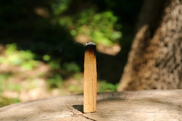 Smoldering Palo Santo Stick Drewnianym Kikucie Zewnątrz — Zdjęcie stockowe