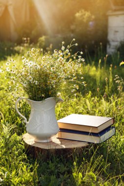 Yeşil çimlerin üzerinde papatya çayı ve kitap.