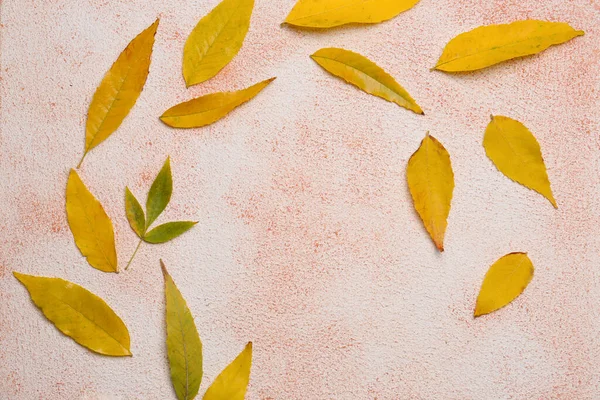 Renkli Arka Planda Sonbahar Yaprakları Düz Yatış Metin Için Boşluk — Stok fotoğraf
