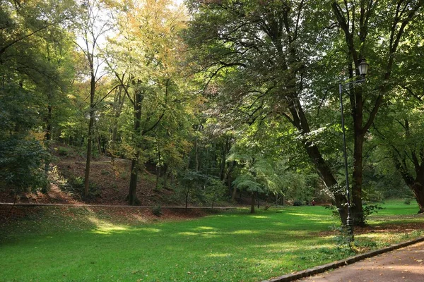 Stezka Spadlé Listí Zelená Tráva Stromy Krásném Městském Parku Podzim — Stock fotografie