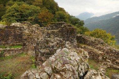 Dağlardaki taş harabelerine ve ormanlara bakın.