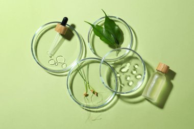 Petri kabı ve bitkilerle soluk yeşil arka planda düz kompozisyon