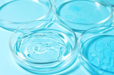 Açık mavi arka planda sıvı içeren petri kapları, yakın plan