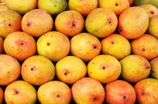 stock image Pile of delicious ripe yellow mangoes, closeup