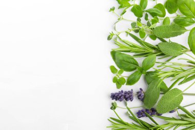 Many different aromatic herbs on white background, flat lay. Space for text