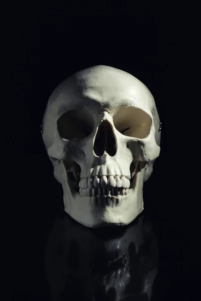 Weißer Menschlicher Schädel Mit Zähnen Auf Schwarzem Hintergrund — Stockfoto
