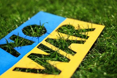 Üzerinde kelimeler olan Ukrayna bayrağı posterleri Yeşil çimlere savaş yok, yakın plan