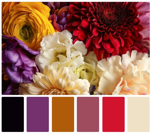 Beautiful Fresh Flowers Color Palette Collage — Stock Photo, Image