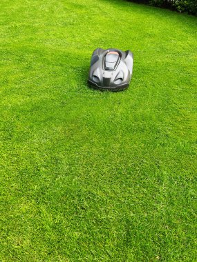 Modern robot lawn mower on green grass in garden