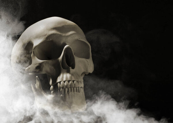 Scary skull emerging from smoke in darkness