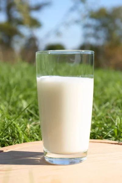 Склянка Свіжого Молока Дерев Яній Дошці Відкритому Повітрі — стокове фото
