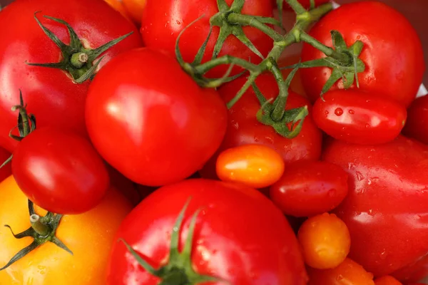 Leckere Frische Tomaten Als Hintergrund Nahaufnahme — Stockfoto