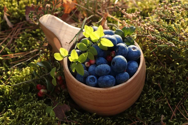 Wooden Mug Full Fresh Ripe Blueberries Lingonberries Green Grass Closeup — Stock Photo, Image