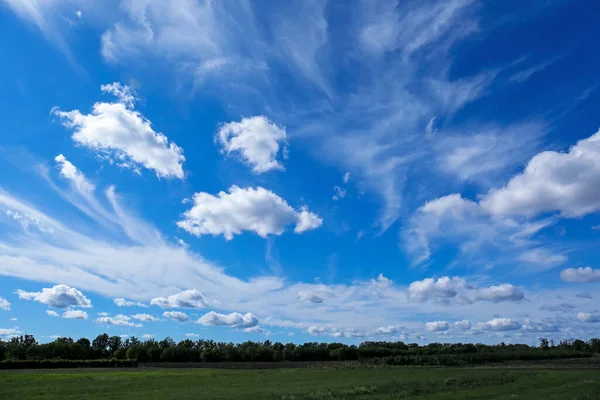 Hermosa Vista Sobre Árboles Verdes Campo Bajo Cielo Azul Nublado — Foto de Stock