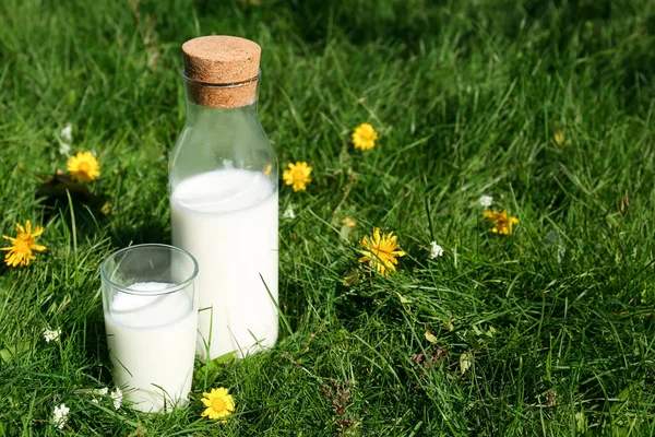 Склянка Пляшка Свіжого Молока Зеленій Траві Відкритому Повітрі Простір Тексту — стокове фото