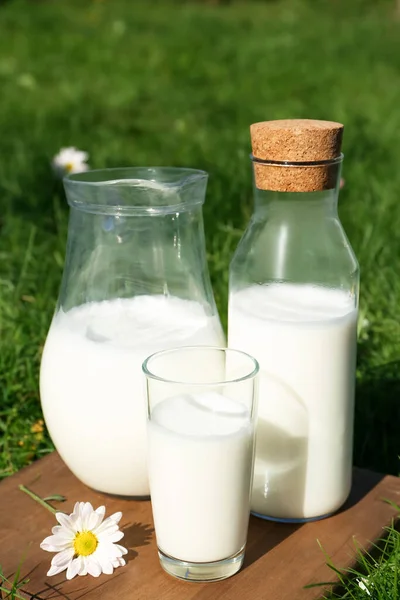 屋外で緑の芝生の上で新鮮な牛乳とガラス — ストック写真