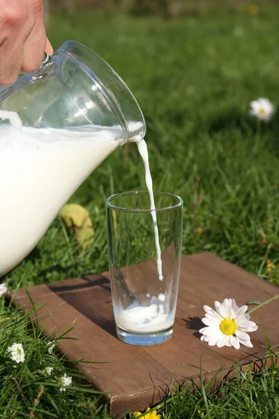 Χύνοντας Νόστιμο Φρέσκο Γάλα Από Κανάτα Γυαλί Πράσινο Γρασίδι Εξωτερικούς — Φωτογραφία Αρχείου
