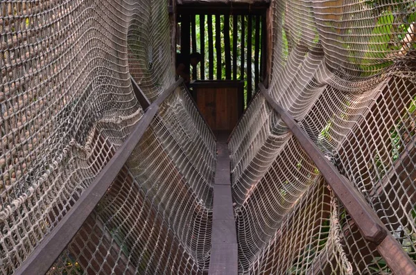 Όμορφη Ξύλινη Κατασκευή Σχοινί Γέφυρα Στο Θερμοκήπιο — Φωτογραφία Αρχείου