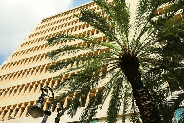 stock image Palm tree near building in city, low angle view