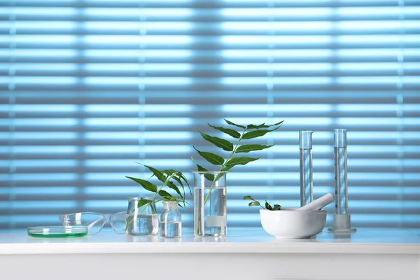 Objetos Laboratório Com Plantas Sobre Mesa Branca Tonificados Azul — Fotografia de Stock