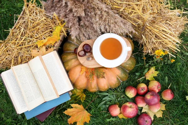 Books, pumpkin, apples and cup of tea outdoors, flat lay. Autumn season