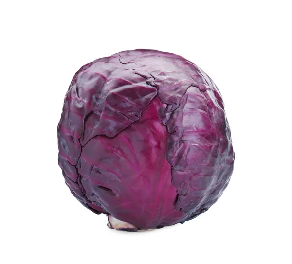 One Fresh Ripe Red Cabbage Isolated White — Stok fotoğraf