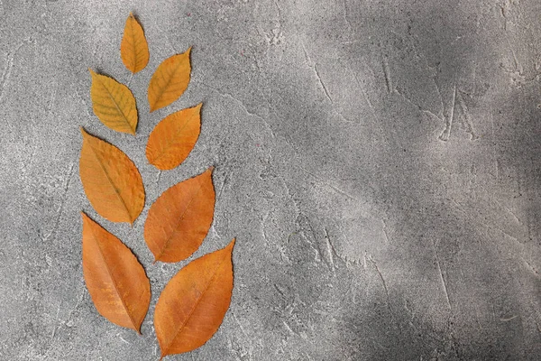 灰色の質感のテーブルの上に美しいオレンジの葉のフラットレイアウト組成 テキストのスペース — ストック写真